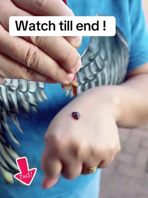 TikTok post by @navneetkaur4504 for BetterAltUK. Caption reads: [...] #TikTokMadeMeBuyIt #dealdrop @BetterAltUK.