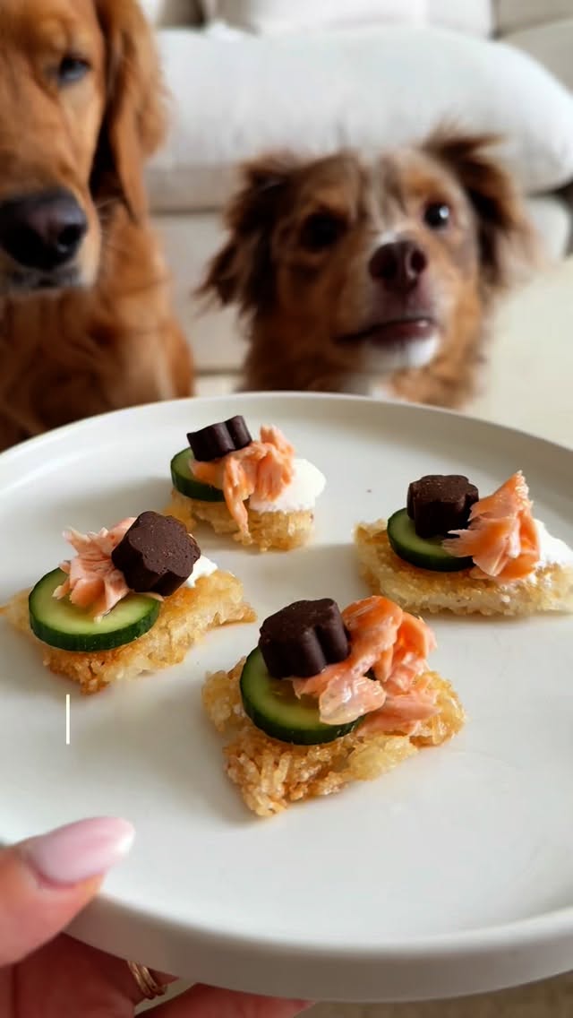 Instagram post by @ayce.and.aria for Dog is Human. Caption reads: [...] Treats inspired by @maxiskitchen x....