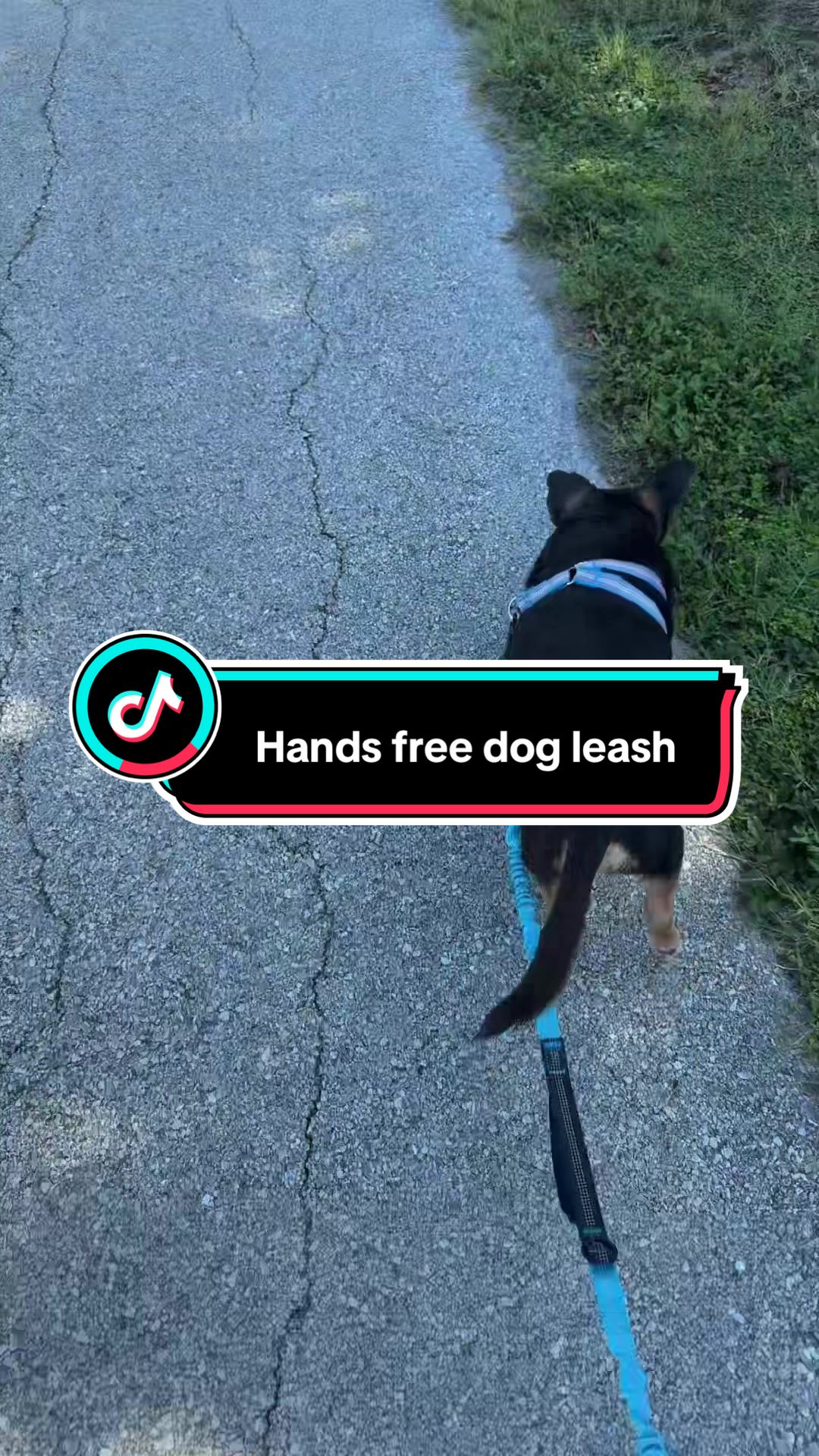 TikTok post by @jackie.slayzz for iYoShop. Caption reads: @iYoShop US this dog leash is so cool! Has a [...].