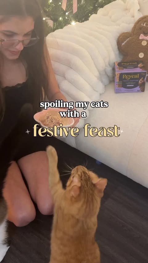 Instagram post by an influencer for Reveal Pet Food. Caption reads: [...] up my cats meals with @revealpetfood 🎊 it’s....
