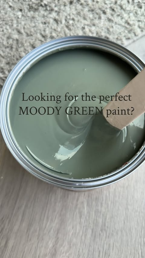 Instagram post by @_myhomeinspo_ for Dulux. Caption reads: [...] 𝚙𝚊𝚒𝚗𝚝?… …well I’ve found it. @duluxuk....