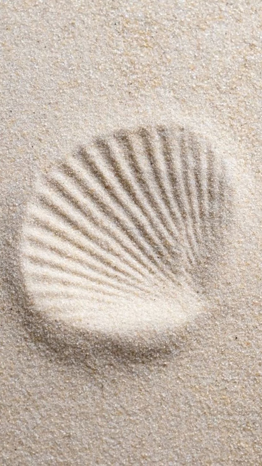 Instagram post by @alexlovelies for Soeur. Caption reads: Just a girl with shoes & different styles....