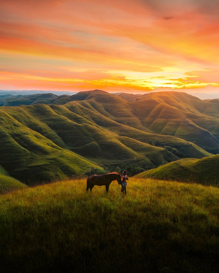 Instagram post by @felgra_photography for Lexar. Caption reads: “The Horse of Sumba”
__
In the heart of Sumba,....