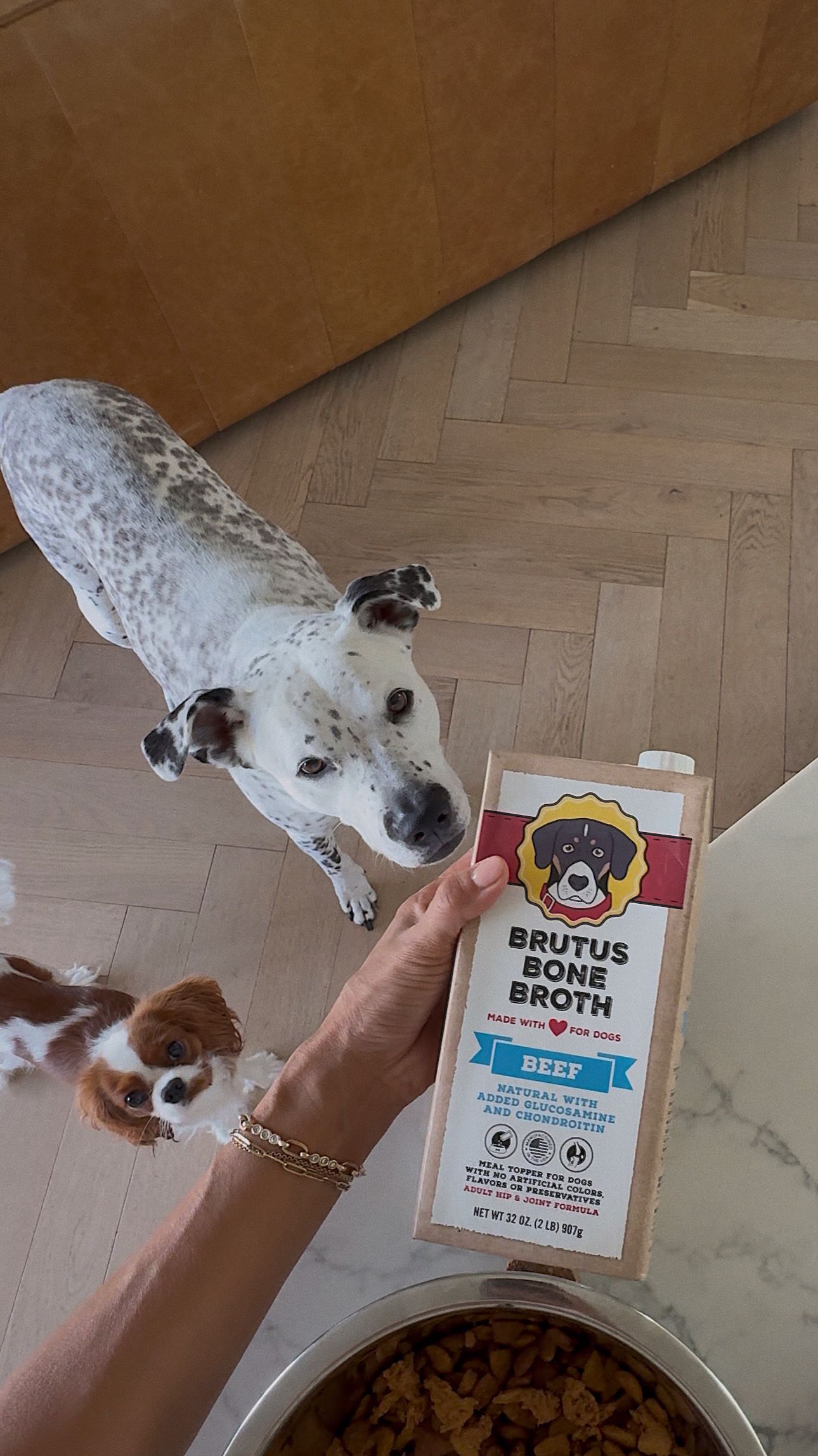 Instagram post by @house_of_lu for Brutus Broth. Caption reads: [...] We
“zhuzh” up their food with @brutusbroth;....