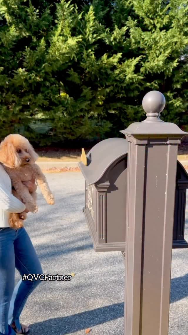 Instagram post by @_janinegraff_ for QVC. Caption reads: #qvcpartner The holidays are officially here....