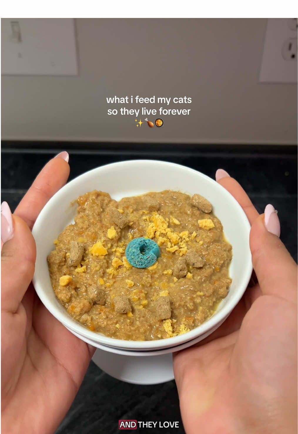 TikTok post by @thecalicokitties for Tuftandpaw. Caption reads: our fav @Tuft & Paw food :) can’t wait for more....