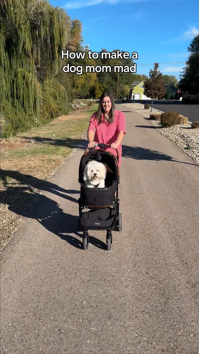 Instagram post by @mr.milobug for Jinx. Caption reads: [...] about toppers but he goes crazy for....