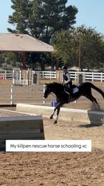 Instagram post by @zlequestrian for Majyk Equipe. Caption reads: [...] very grateful for him! AD | Thank you....