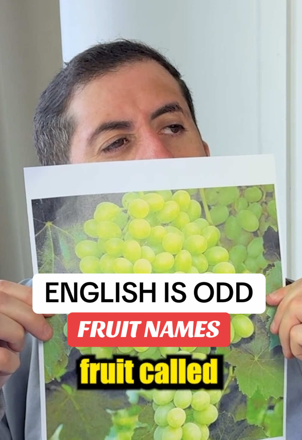 TikTok post by @nirguzinski for KitKat. Caption reads: Well that was a FRUITful knowledge… #englishisfun....