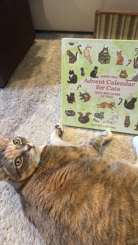 Instagram post by @officialsierraboggess for Trader Joe's. Caption reads: December 1st @oliviaandcelie LOVES her @traderjoes....