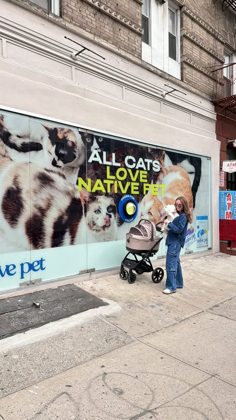 Instagram post by @cleothecitykitty for Native Pet. Caption reads: took cleo to see @nativepet ‘s new interactive....