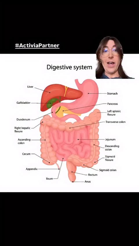 Instagram post by @fork.diet.culture for Activia. Caption reads: #ActiviaPartner Fad diets are OUT, probiotics are....