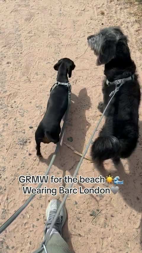 Instagram post by @daisyandpoppyx for Barc London. Caption reads: 🤍BARC LONDON🤍 We were kindly sent these amazing....