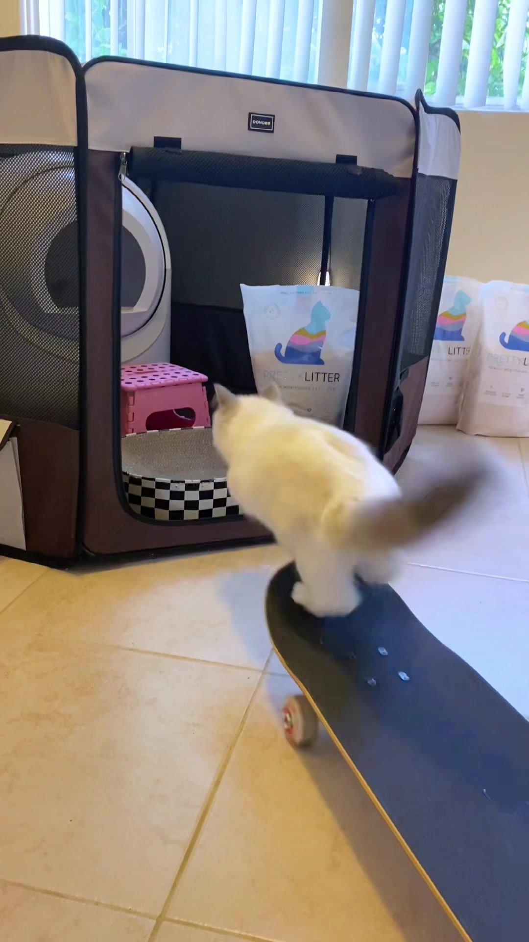 TikTok post by @pukakittycat for Prettylitter. Caption reads: We switched to @PrettyLitter and it was the BEST....