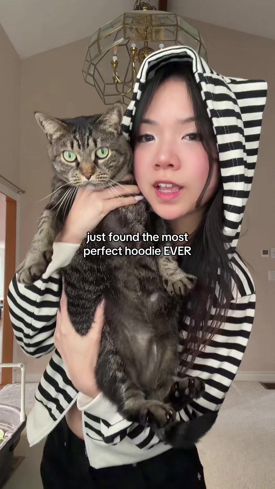 TikTok post by @strawberr.vy for LEWKIN. Caption reads: she loves me i swear 😔 @Lewkin #lewkin....
