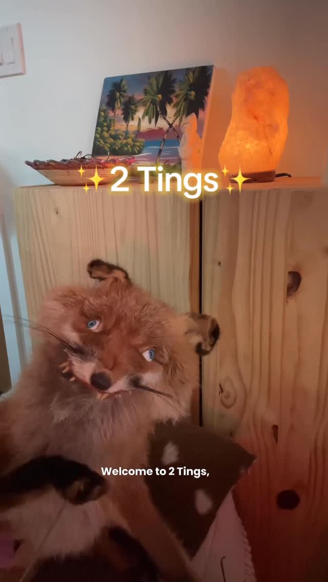 Instagram post by @r0ad_kill_ for Trader Joe's. Caption reads: what are ye enjoying rn ?.