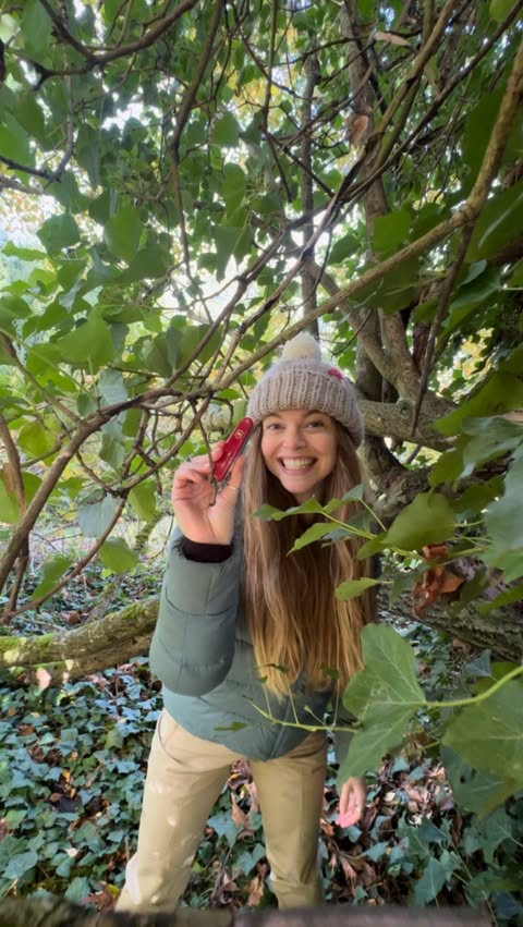 Instagram post by @thenatureeducator for Victorinox. Caption reads: [...] invasive ivy with my small but mighty....