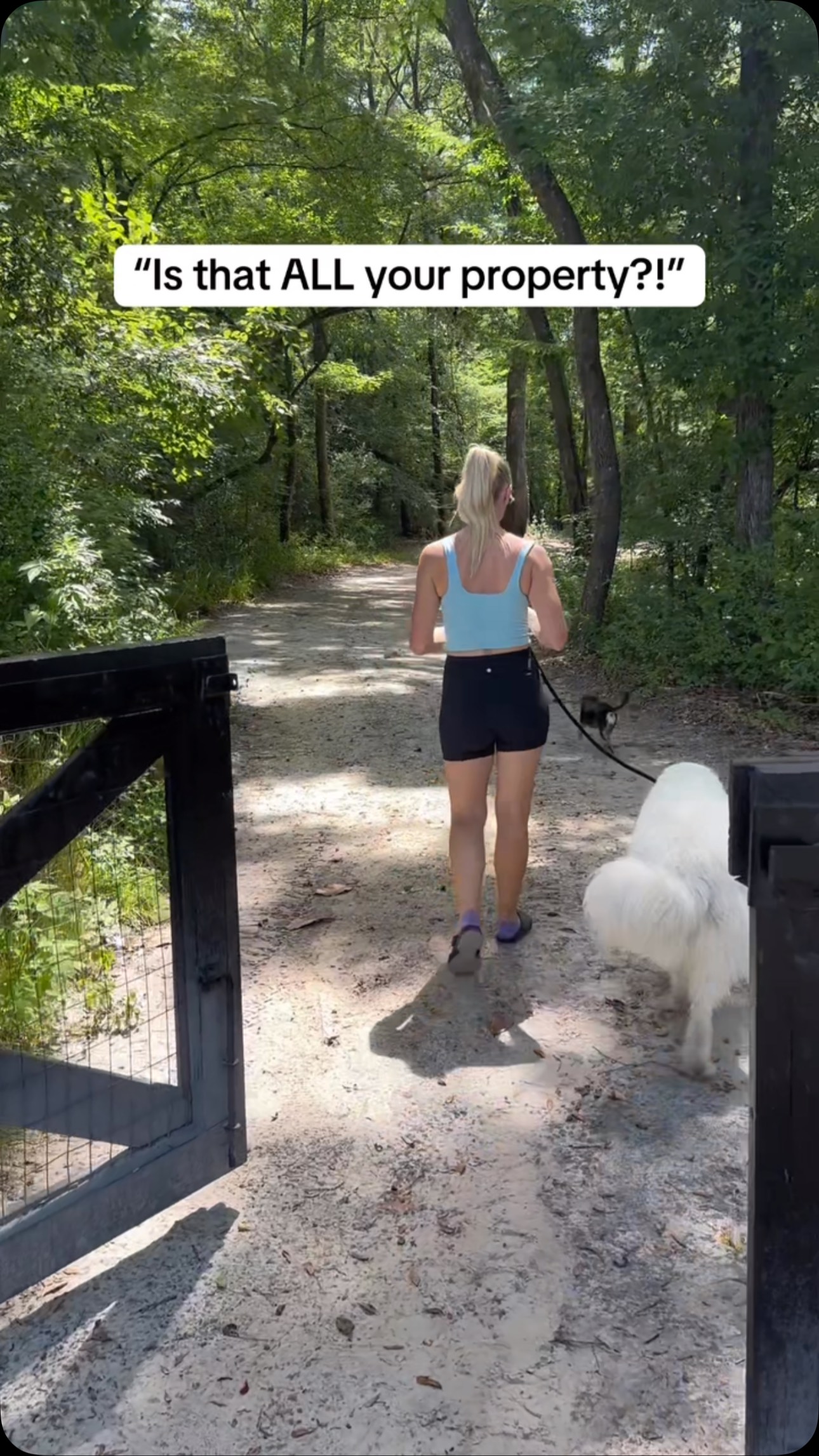 Instagram post by @tfo300 for Petcube. Caption reads: Peace of mind when it comes to the safety of your....