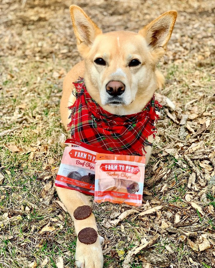 Instagram post by @jiyathejollybeauty for Farm to Pet. Caption reads: [...] treat-o-clock!

Crunch, munch, yum!....