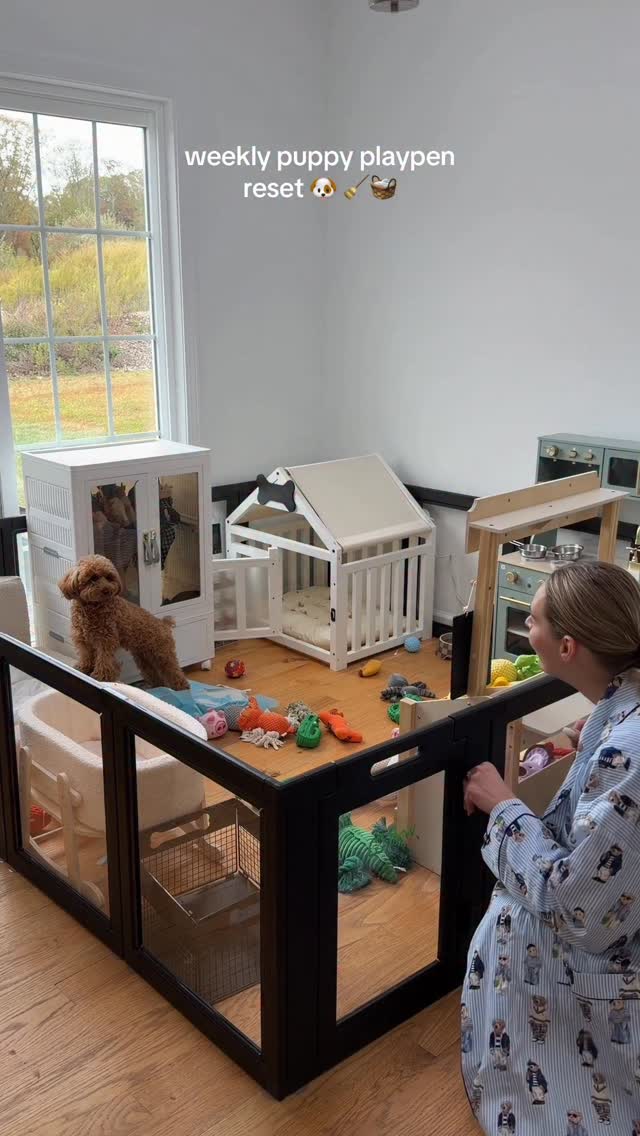 Instagram post by @the_hayeks for Levoit. Caption reads: weekly puppy playpen reset with @levoitlifestyle....
