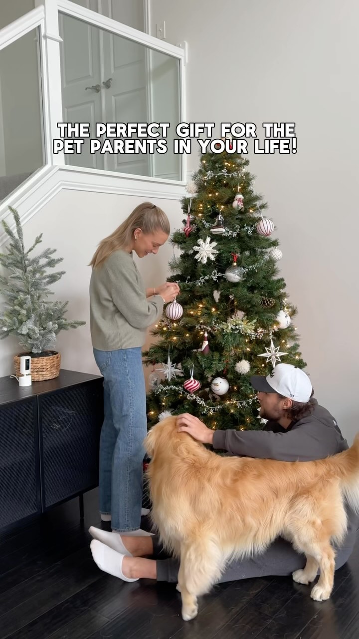 Instagram post by @drakethepupstar for Ring. Caption reads: The perfect gift for all the pet parents in your....