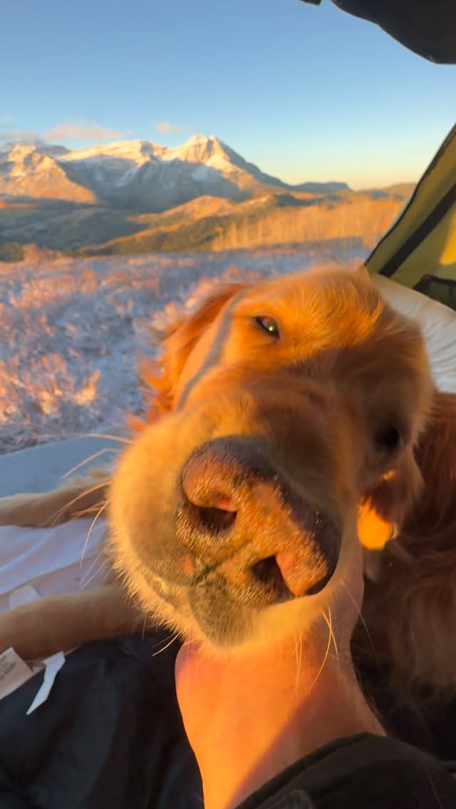 Instagram post by @andrew__muse for Ford Bronco. Caption reads: October snow hits differently from the roof top....