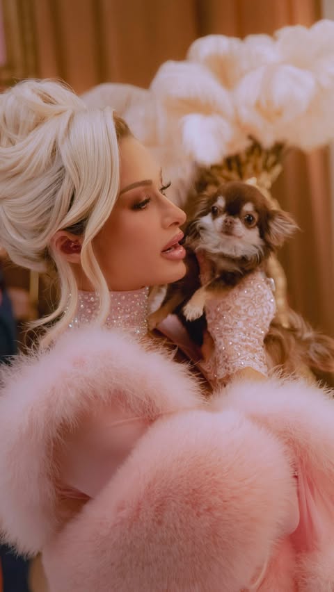 Instagram post by @parishilton for Loop Earplugs. Caption reads: Iconically unbothered with @LoopEarplugs 💖🥰💫.