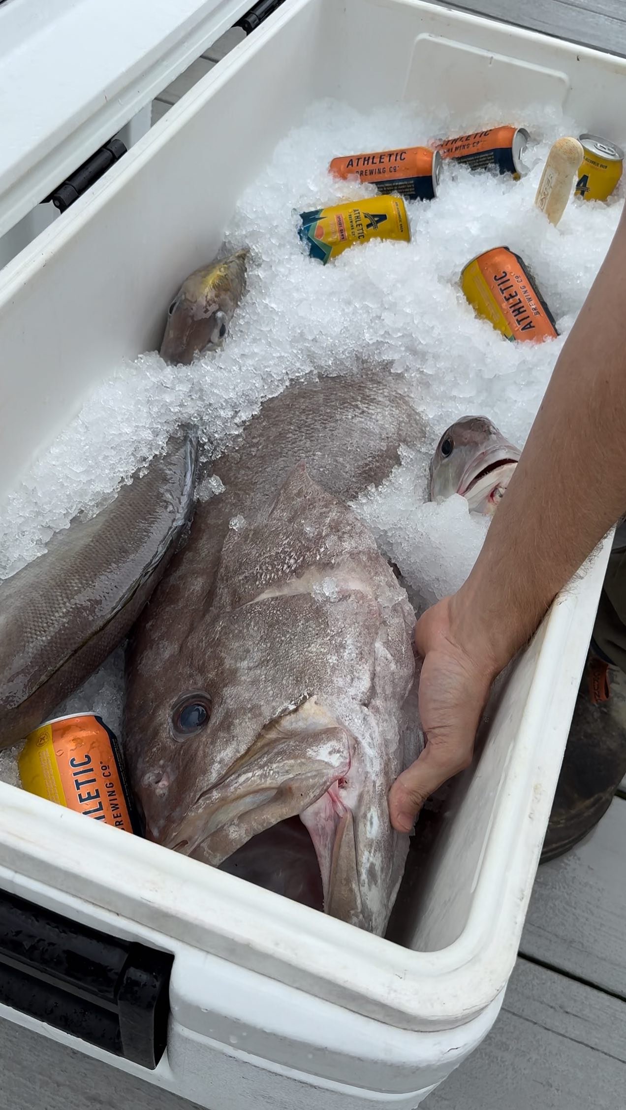 Instagram post by @reedthefishmonger for Athletic Brewing. Caption reads: Zero waste fish processing with @athleticbrewing.
