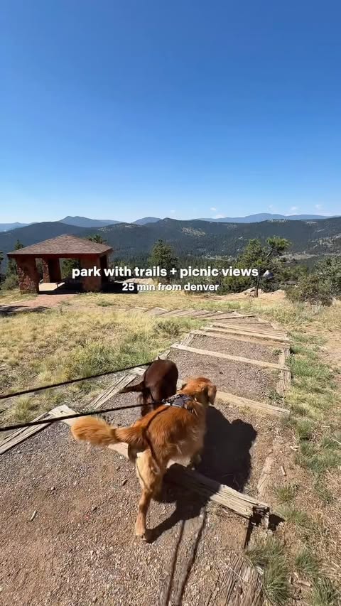 Instagram post by @denverdogguide for Safeway. Caption reads: [...] 😂⛰️ We always make one quick stop at....