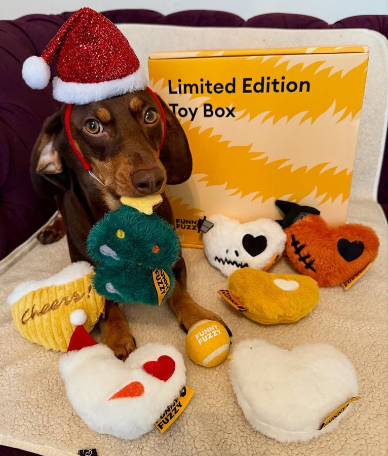 Instagram post by @hugo_and_ottos_adventures for FunnyFuzzy. Caption reads: [...] living his best festive life with the....