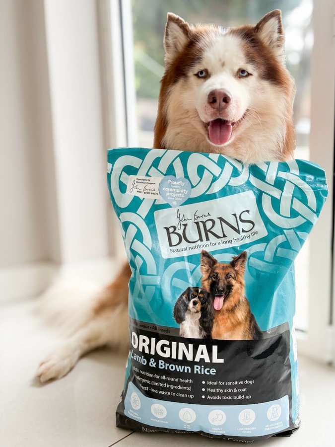 Instagram post by @huskyfamilyxx for Burns Pet Food. Caption reads: 🥣 💙 𝐆𝐨𝐨𝐝 𝐟𝐨𝐨𝐝, 𝐠𝐨𝐨𝐝 𝐦𝐨𝐨𝐝 🥣 💙....