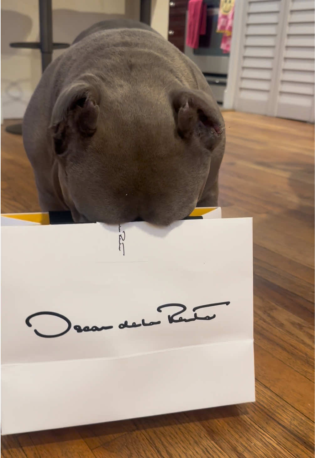 TikTok post by @therealmisspoutine for Oscar De La Renta. Caption reads: Thank you @Oscar de la Renta and @Isabel Klee for....