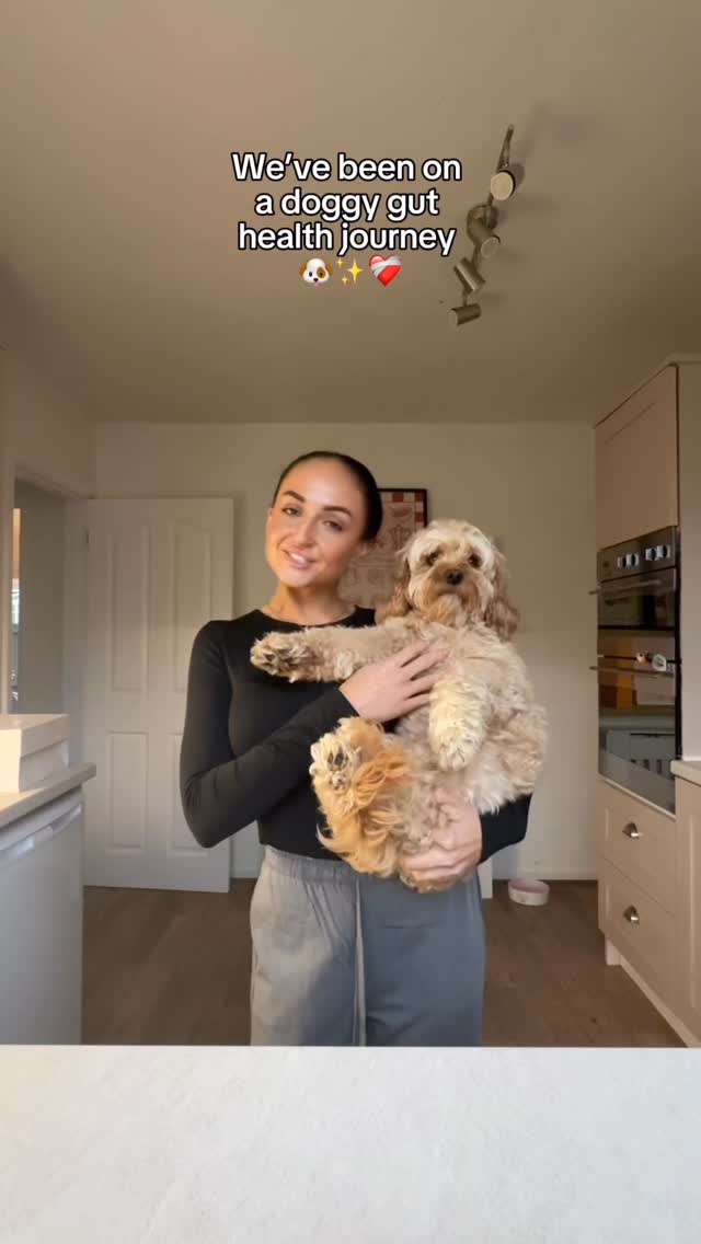 Instagram post by @peanut_and_pablo_cavapoos for Pooch and Mutt. Caption reads: [...] been on a gut health journey with....