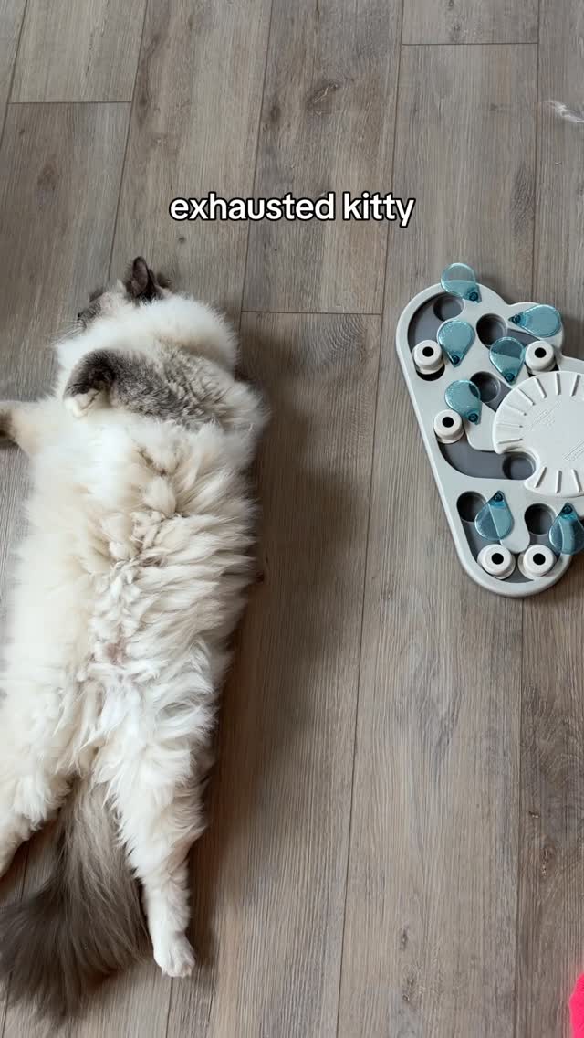 Instagram post by @thelexibunch for Open Farm Pet. Caption reads: Puzzles are the perfect enrichment to keep your....