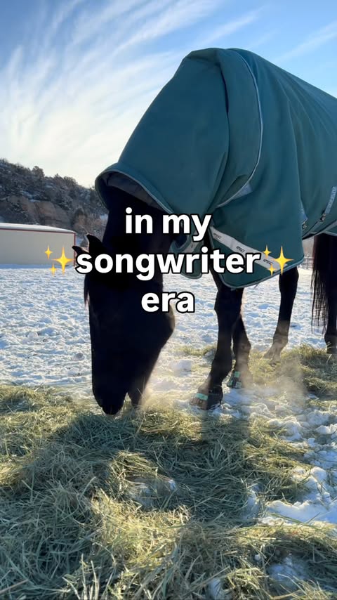 Instagram post by @todaywithgus for Scoot Boots. Caption reads: [...] how good your horse feels in....