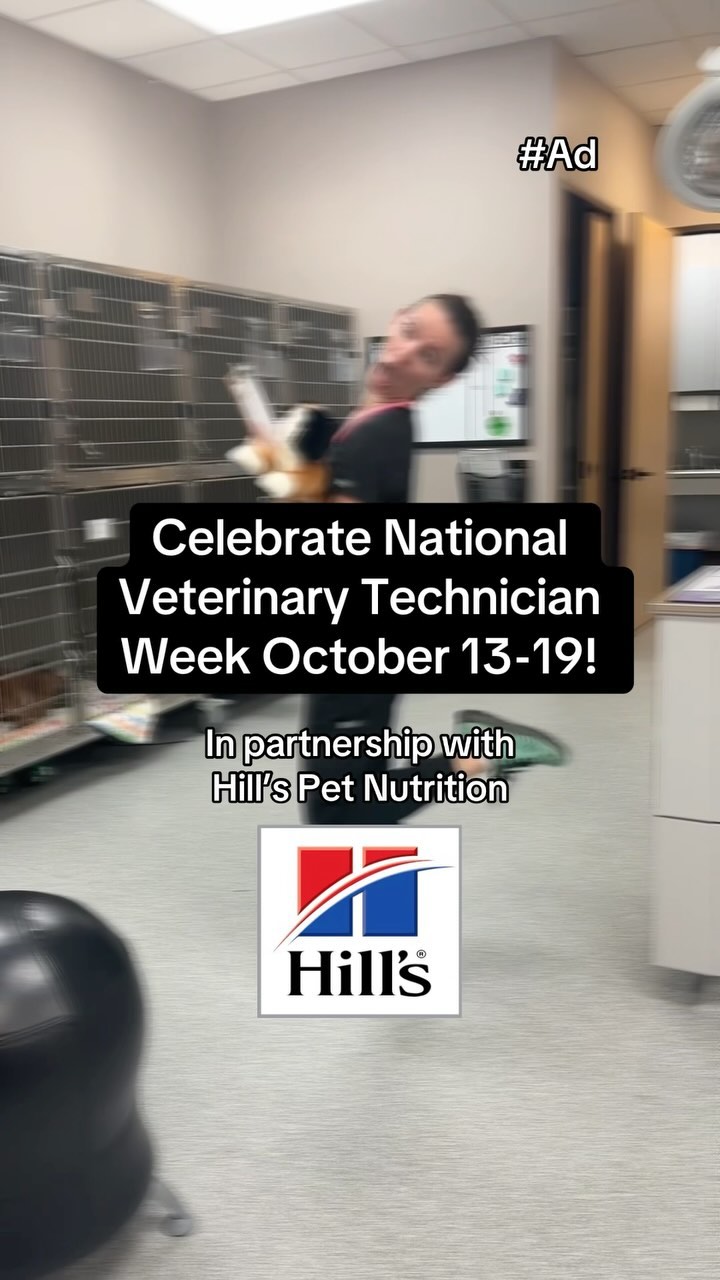 Instagram post by @sarahparsonslvt for Hills Pet. Caption reads: #Ad #HillsPartner To the SUPERHEROES of Vet Med!....