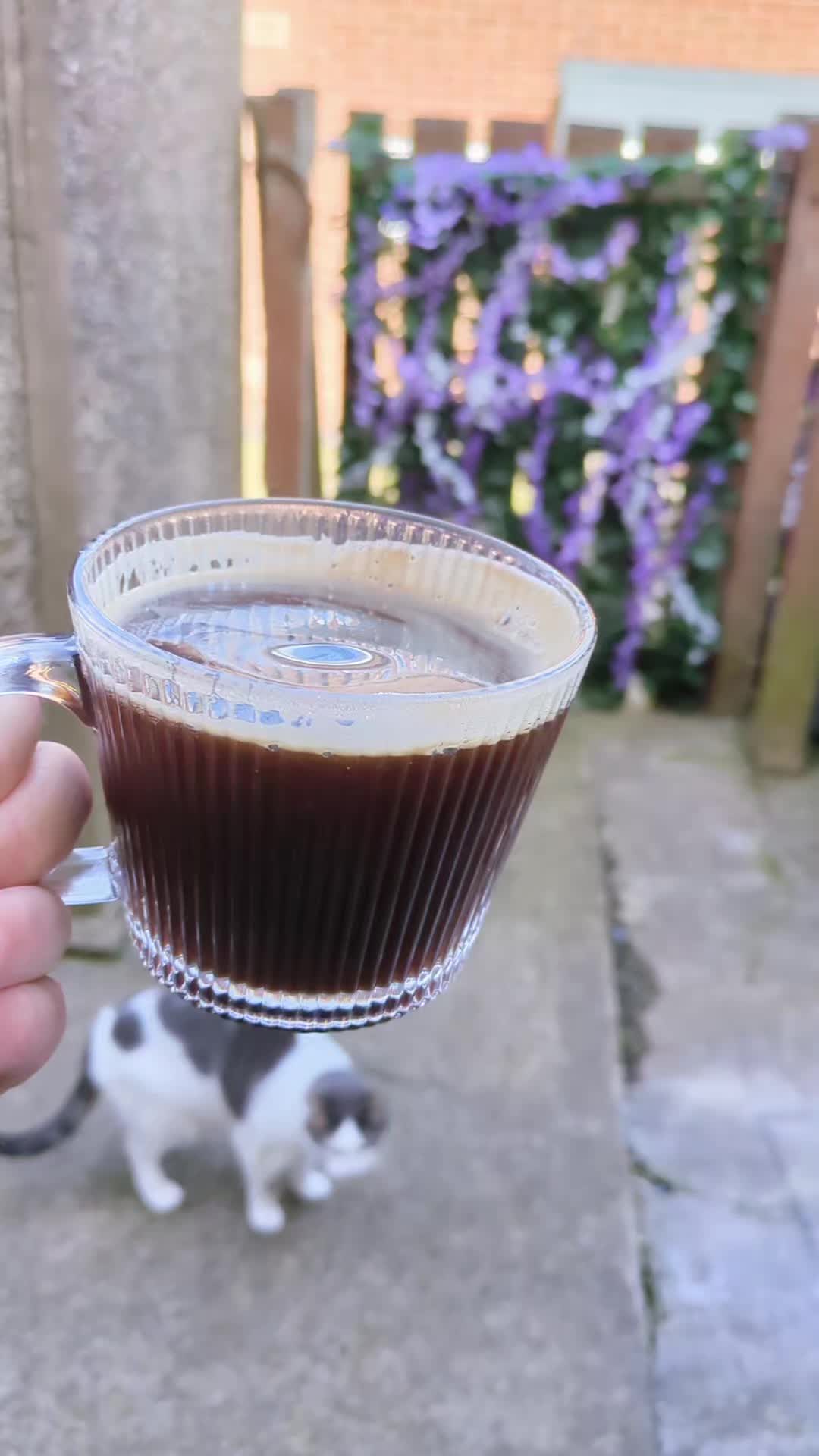 TikTok post by @restorationface for London Nootropics. Caption reads: [...] your morning the smoother way ☕✨ London....