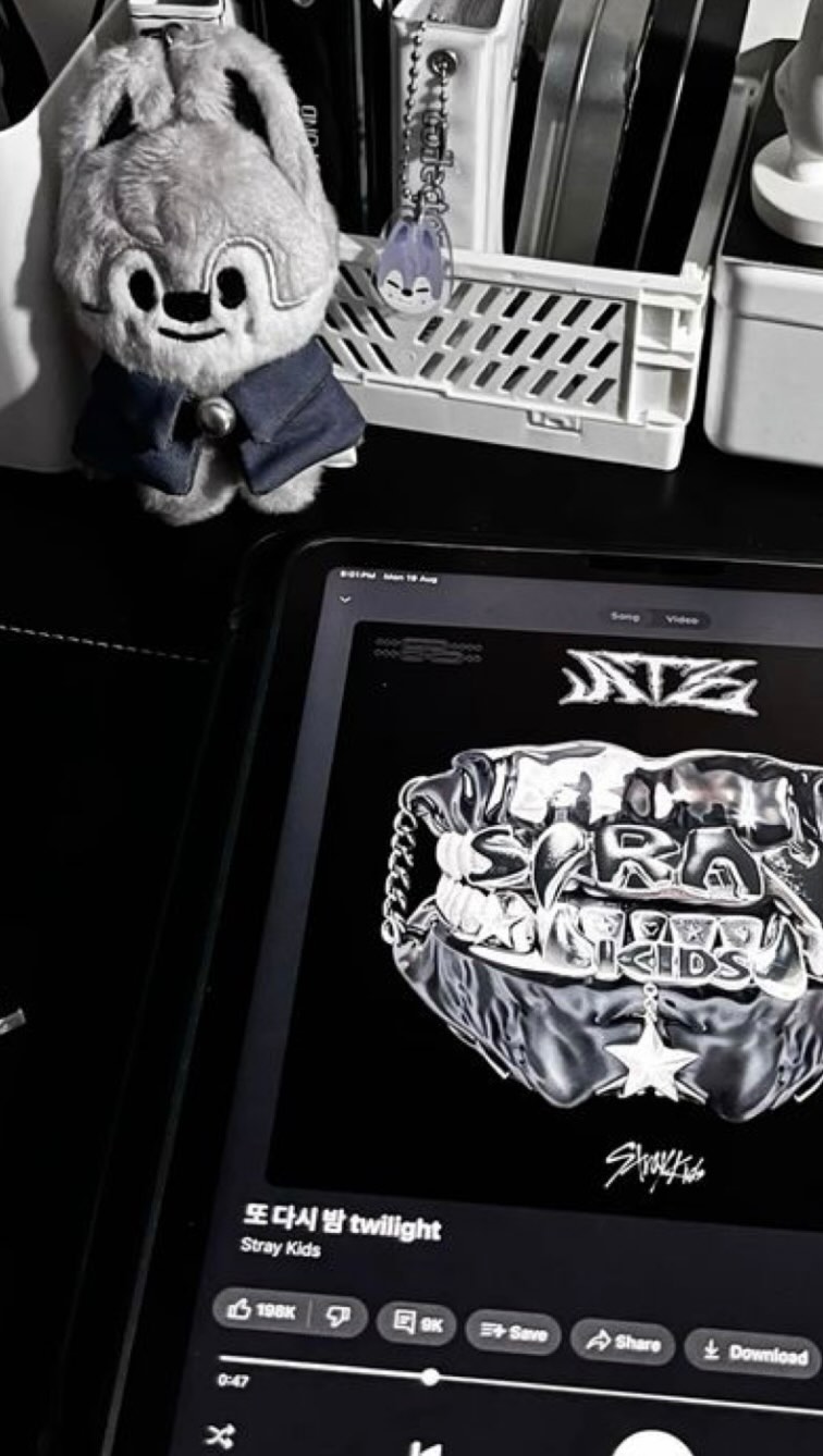 Instagram post by @iara_fernandss for Santander. Caption reads: Ouviram pais? 

@santanderbrasil me leva....