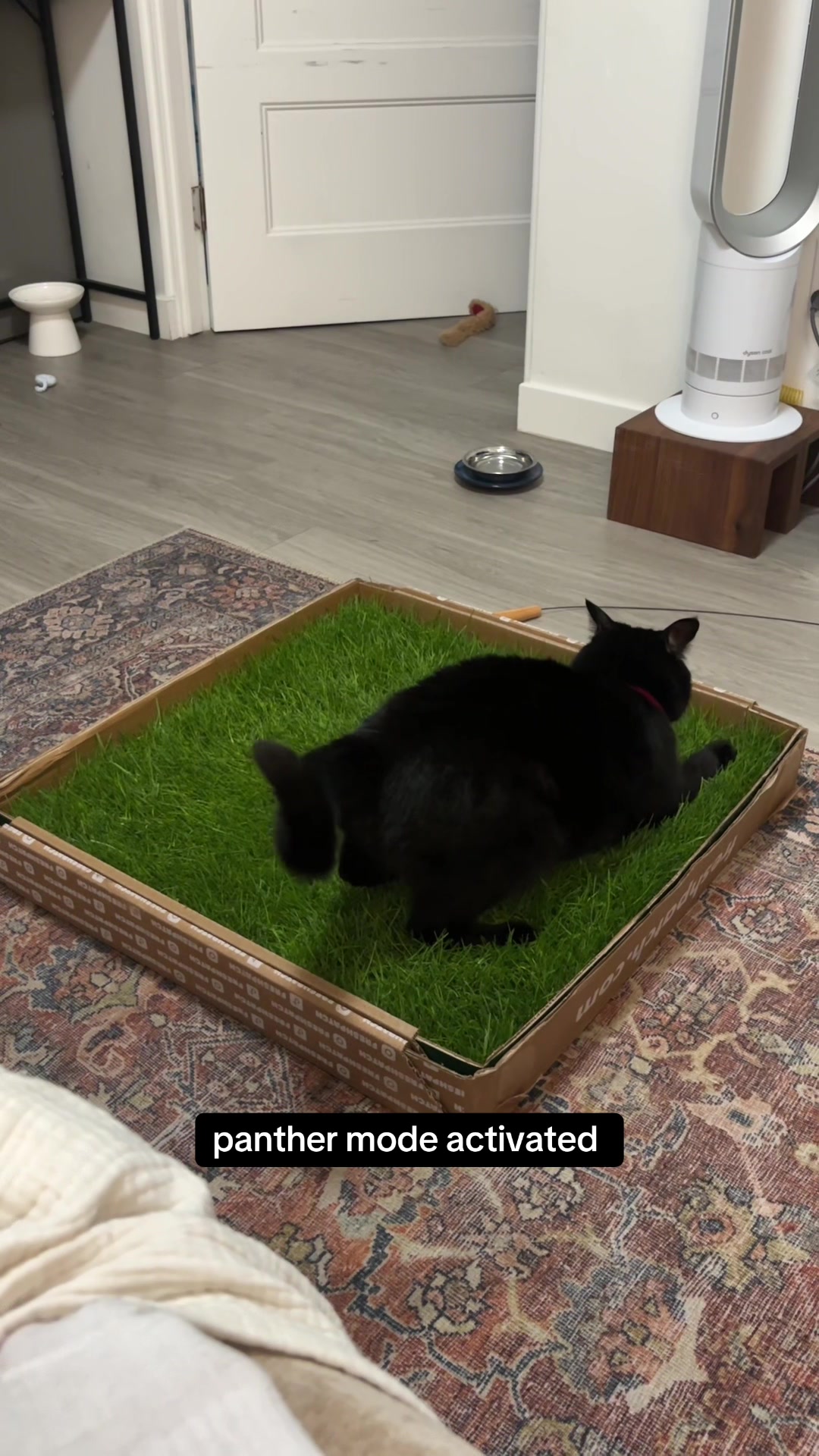 TikTok post by @stormimartini for freshpatch. Caption reads: @freshpatch .