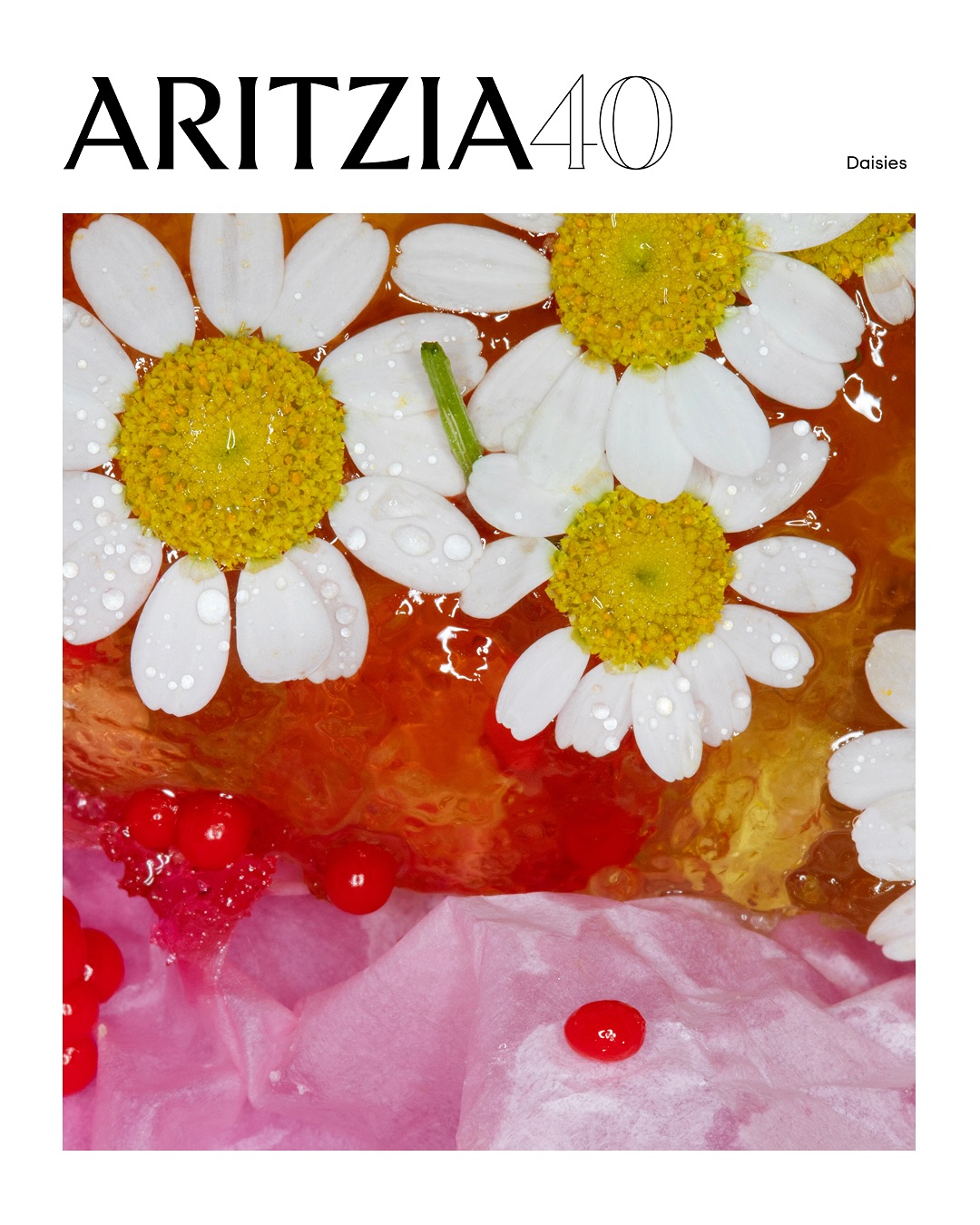 Instagram post by @maisiecousins for Aritzia. Caption reads: One of our sweetest collabs yet. In celebration of....