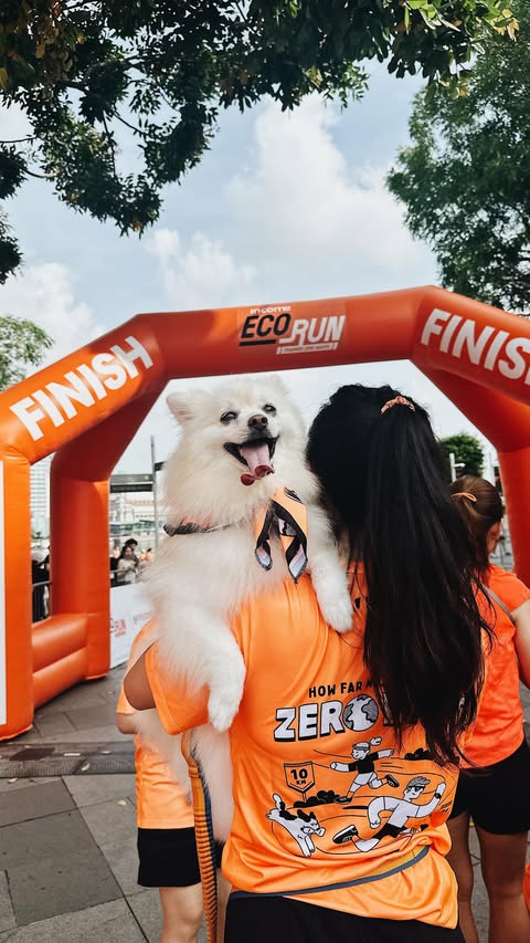 Instagram post by @incomeinsurance for Pawjourr. Caption reads: Dog owners know this is true: They run into....
