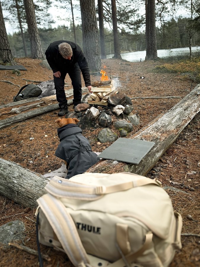Instagram post by @yava.sofie for PAIKKA. Caption reads: 🔥🌲☕️🥰 • • • Ad/ @doglifebythule @paikka.pet....
