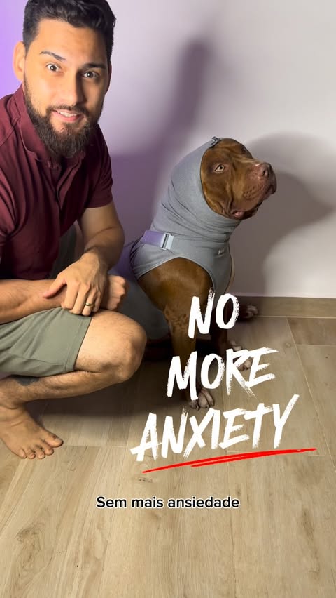 Instagram post by @bratan.pitmonster for Spark Paws. Caption reads: Anxiety calming suit @sparkpawsofficial #sparkpaws....
