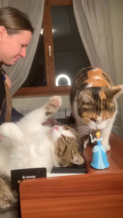 Instagram post by @pianists_mariana.dimcho for DonnerMusic. Caption reads: [...] Strauss)
on Donner DDP-80....