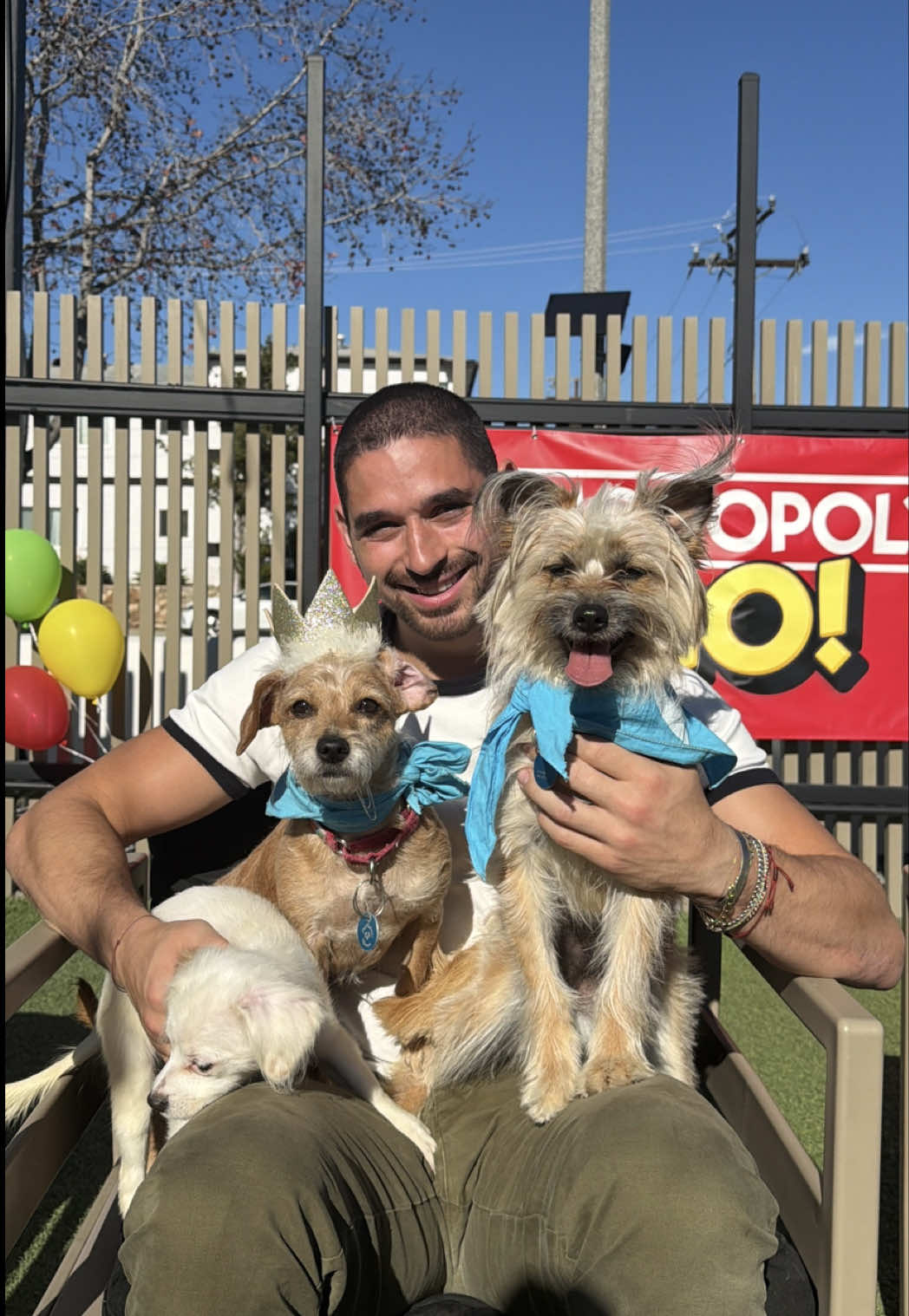 TikTok post by @alan.bersten for MONOPOLY GO!. Caption reads: @monopolygo, dogs, and a dog psychic. Best day....