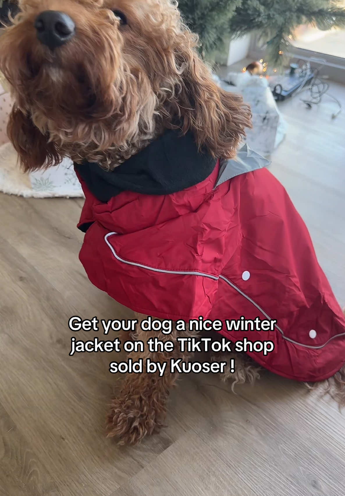 TikTok post by @mia_manhattan_ny for Kuoser. Caption reads: Kuoser Dog Winter Jacket on the link below for....