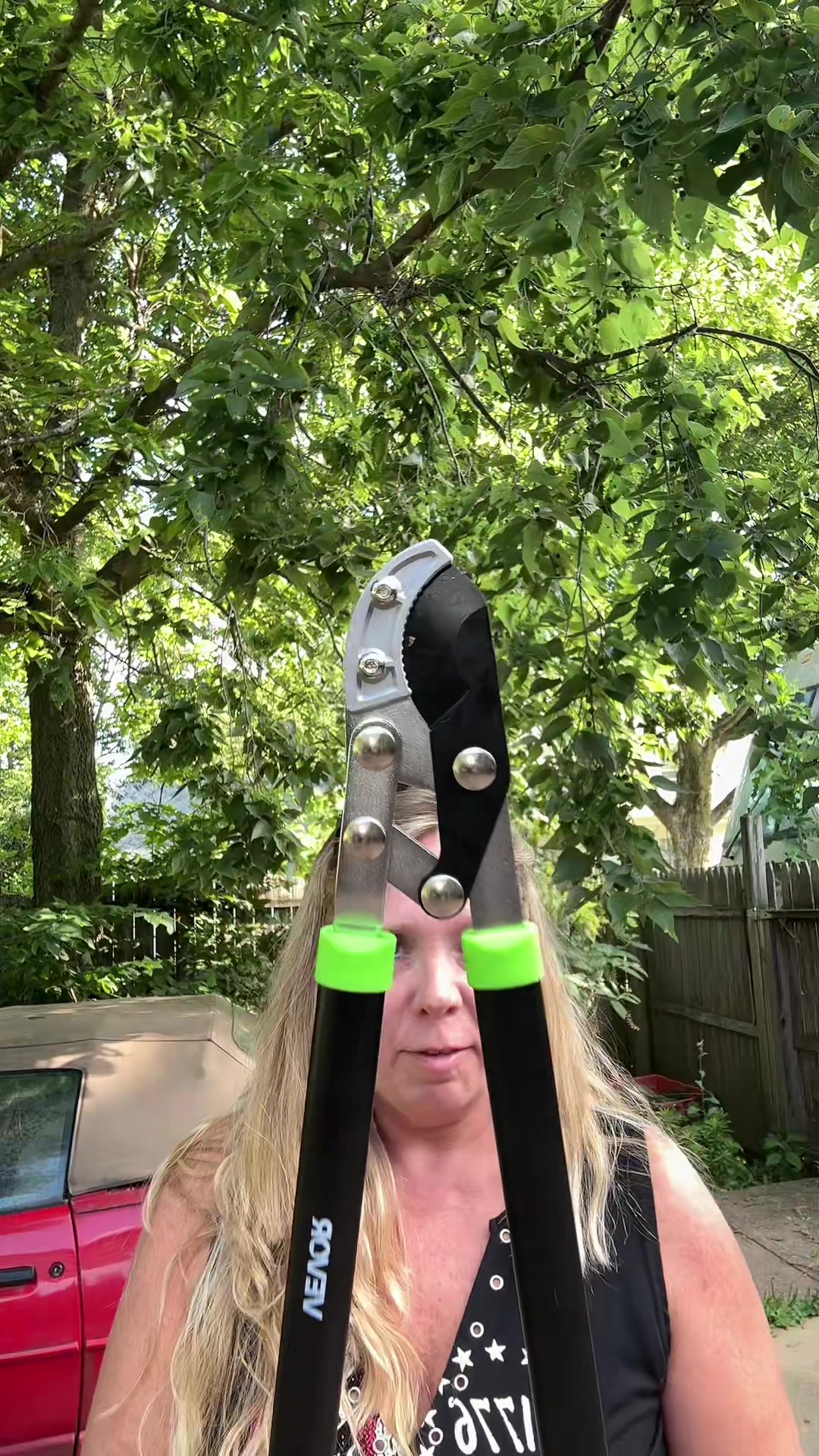 TikTok post by @jeanniemarion for Vevor Outdoor Store US. Caption reads: If you’ve been putting off trimming your trees or....