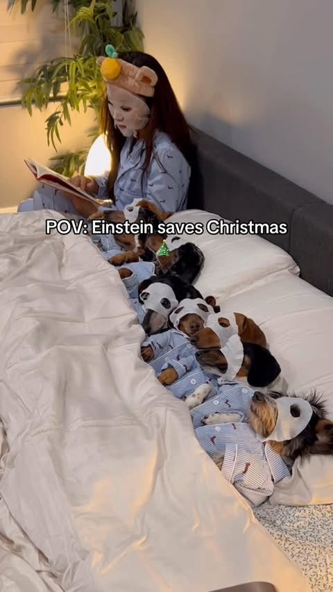 Instagram post by @yunabugs for PetSmart. Caption reads: [...] Claus strikes again with the help of....