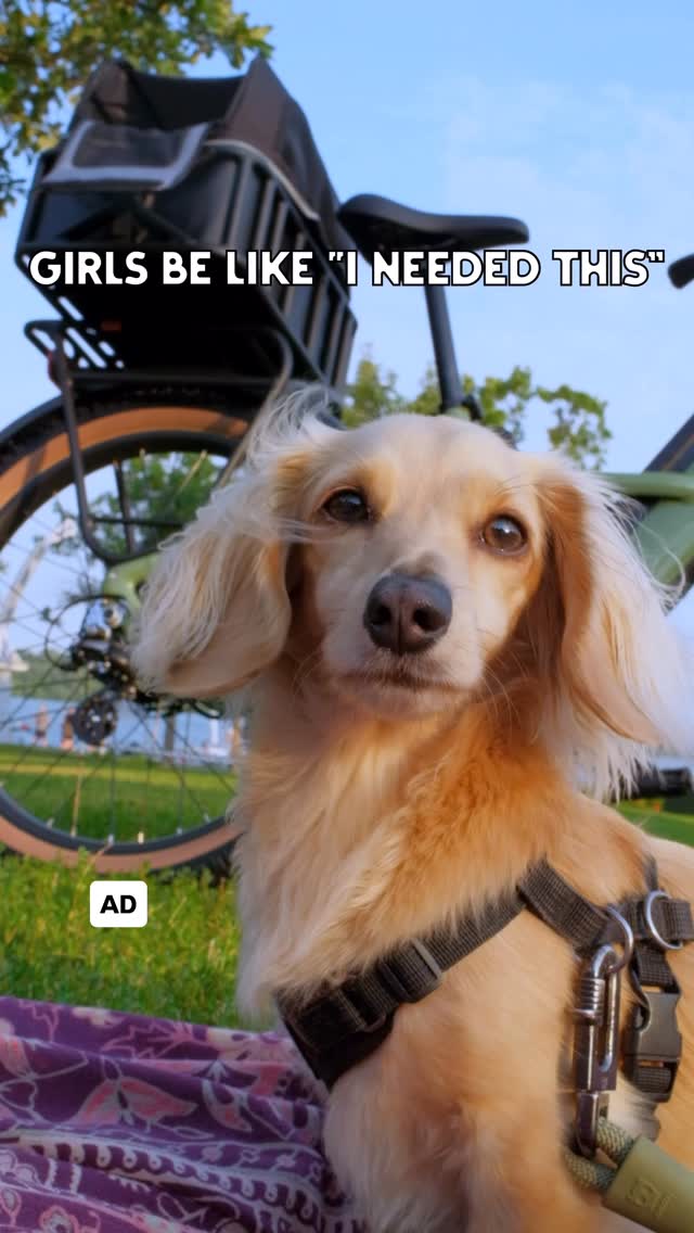 Instagram post by @mini.weenie.phoebe for Rad Power Bikes. Caption reads: [...] a bike 😂 let the adventures begin!....