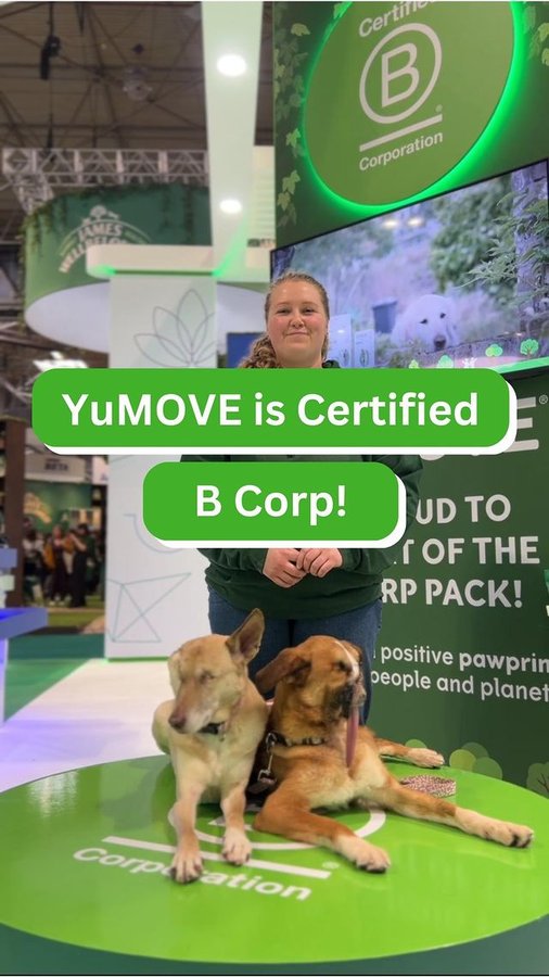 Instagram post by @maggiethewunderdog for YuMOVE. Caption reads: This B Corp month, we’ve been reflecting on just....